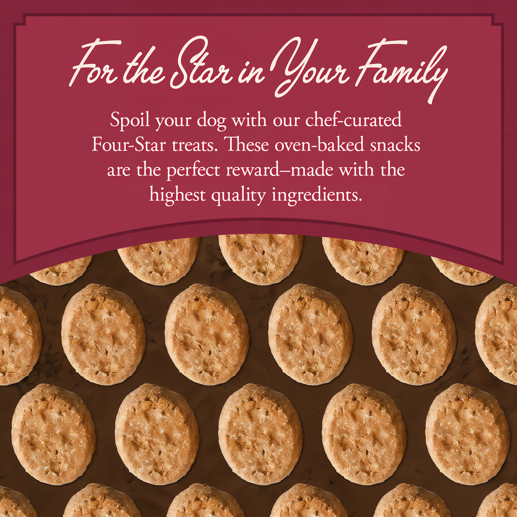 For the star in your family: chef-curated Fromm Four-Star oven-baked treats made with the highest quality ingredients