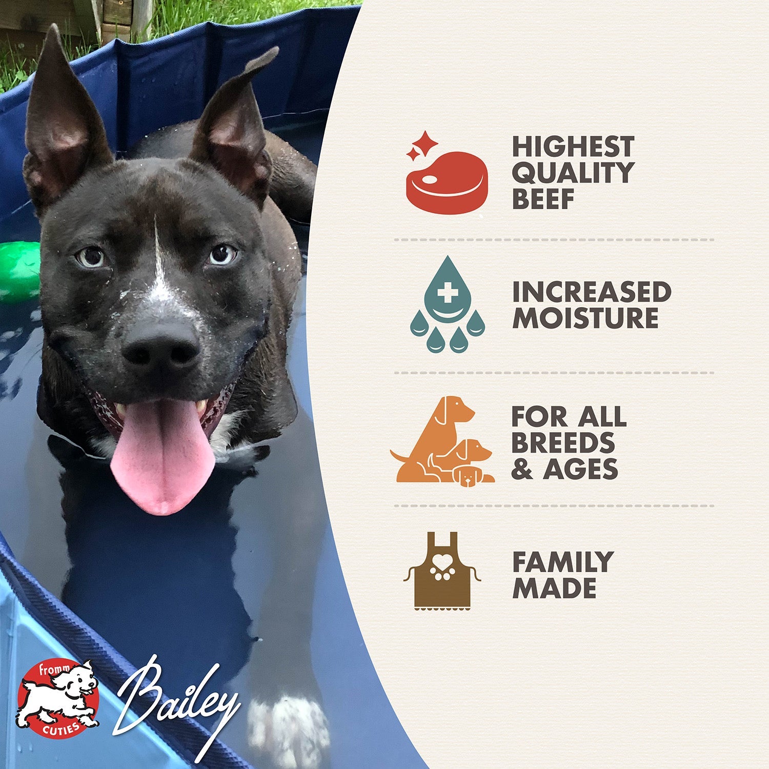Fromm Cuties dog Bailey with Four-Star Shredded Beef benefits: highest quality beef, increased moisture, for all breeds and ages, family made