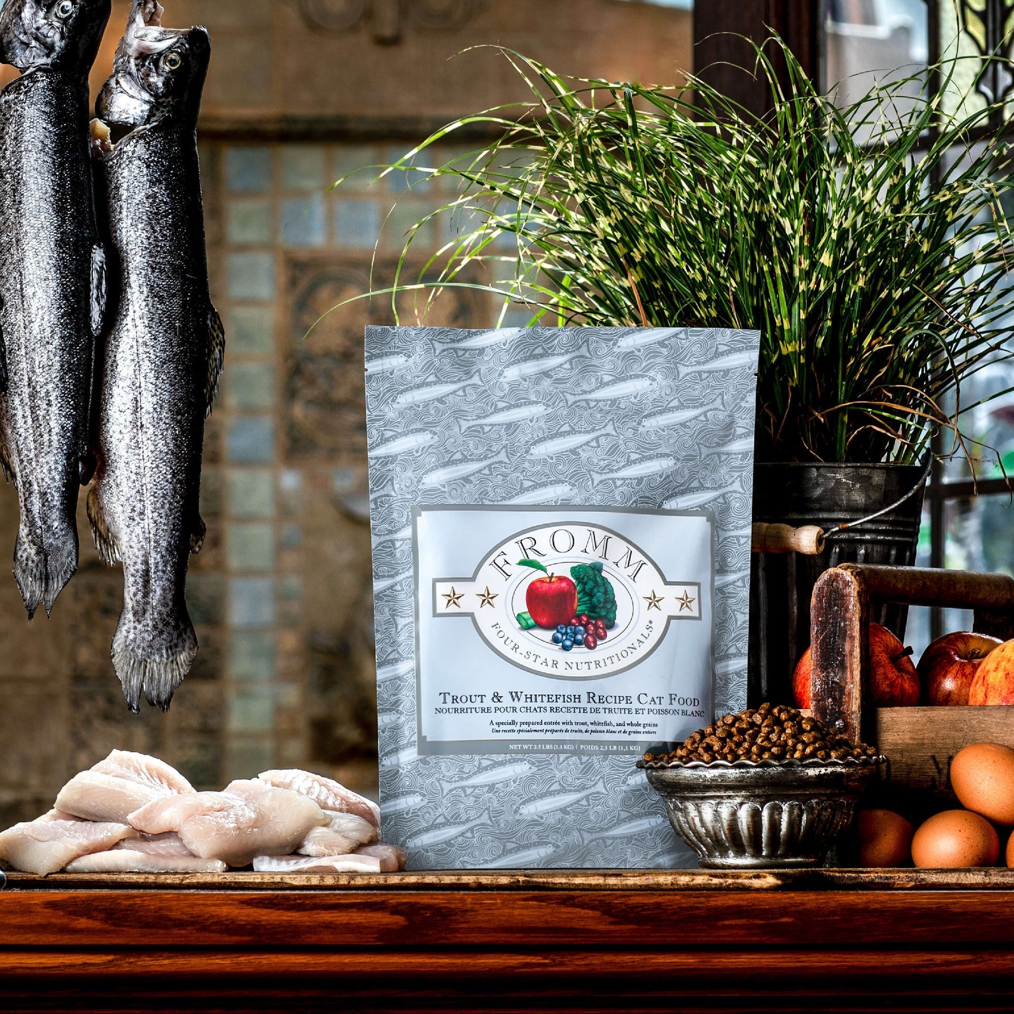 Fromm Four-Star Trout & Whitefish Recipe Cat Food bag styled with fresh trout, whitefish fillets, eggs, and apples