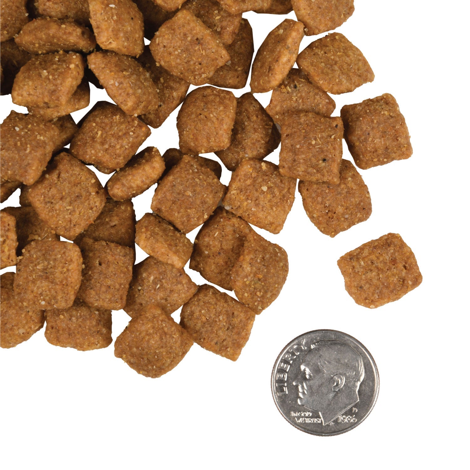 A small pile of Fromm Gold Adult kibble next to a dime for scale