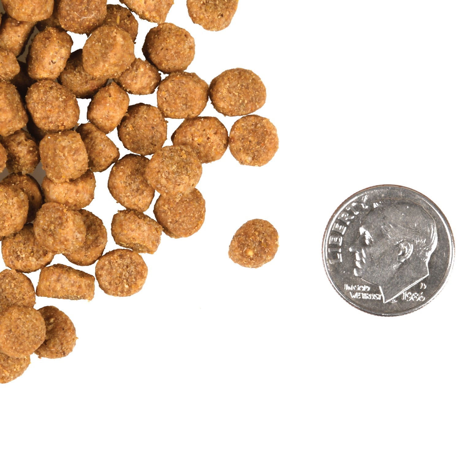 A small pile of Fromm Gold Healthy Weight cat kibble next to a dime for scale