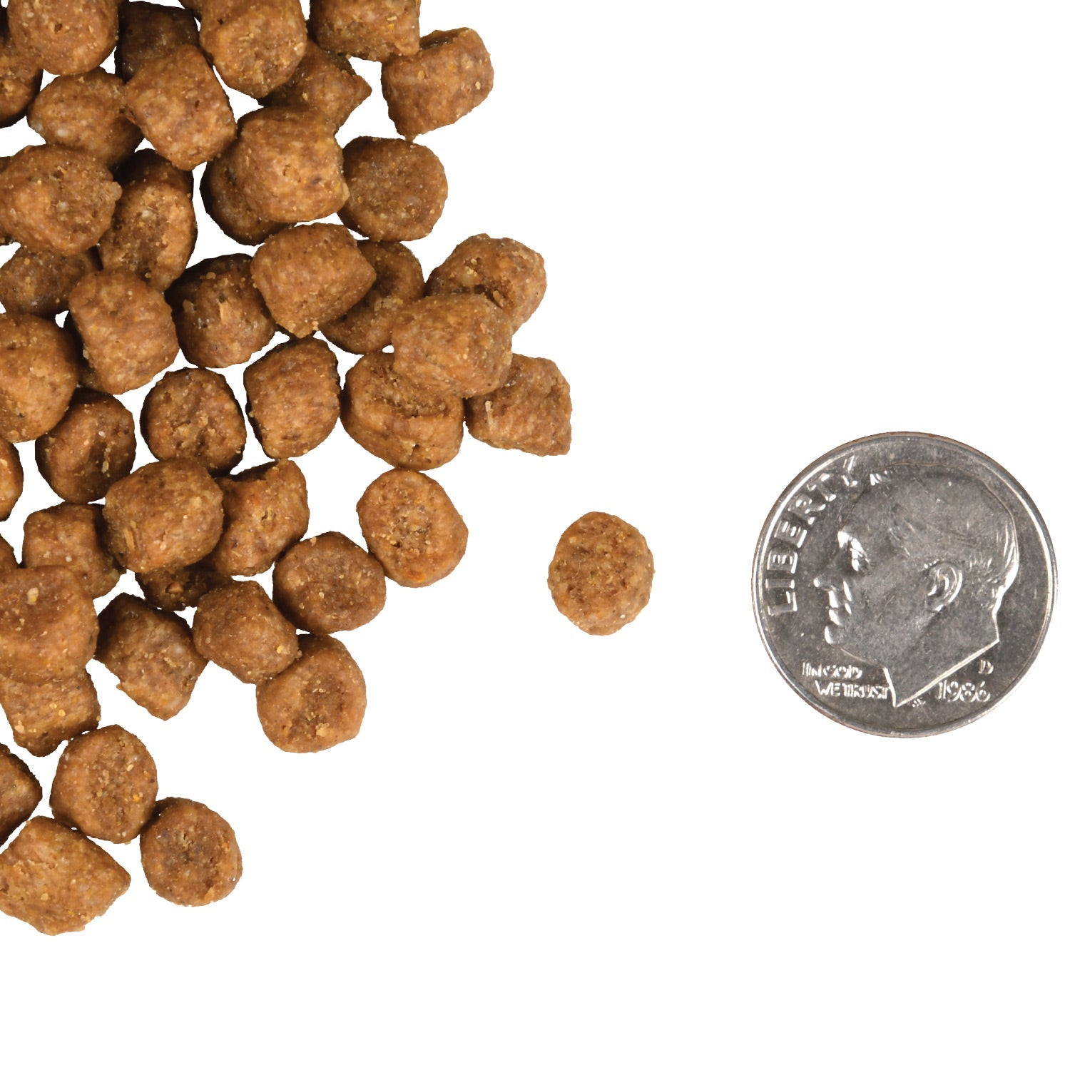 A small pile of Fromm Gold Indoor Cat Hairball Control kibble next to a dime for scale