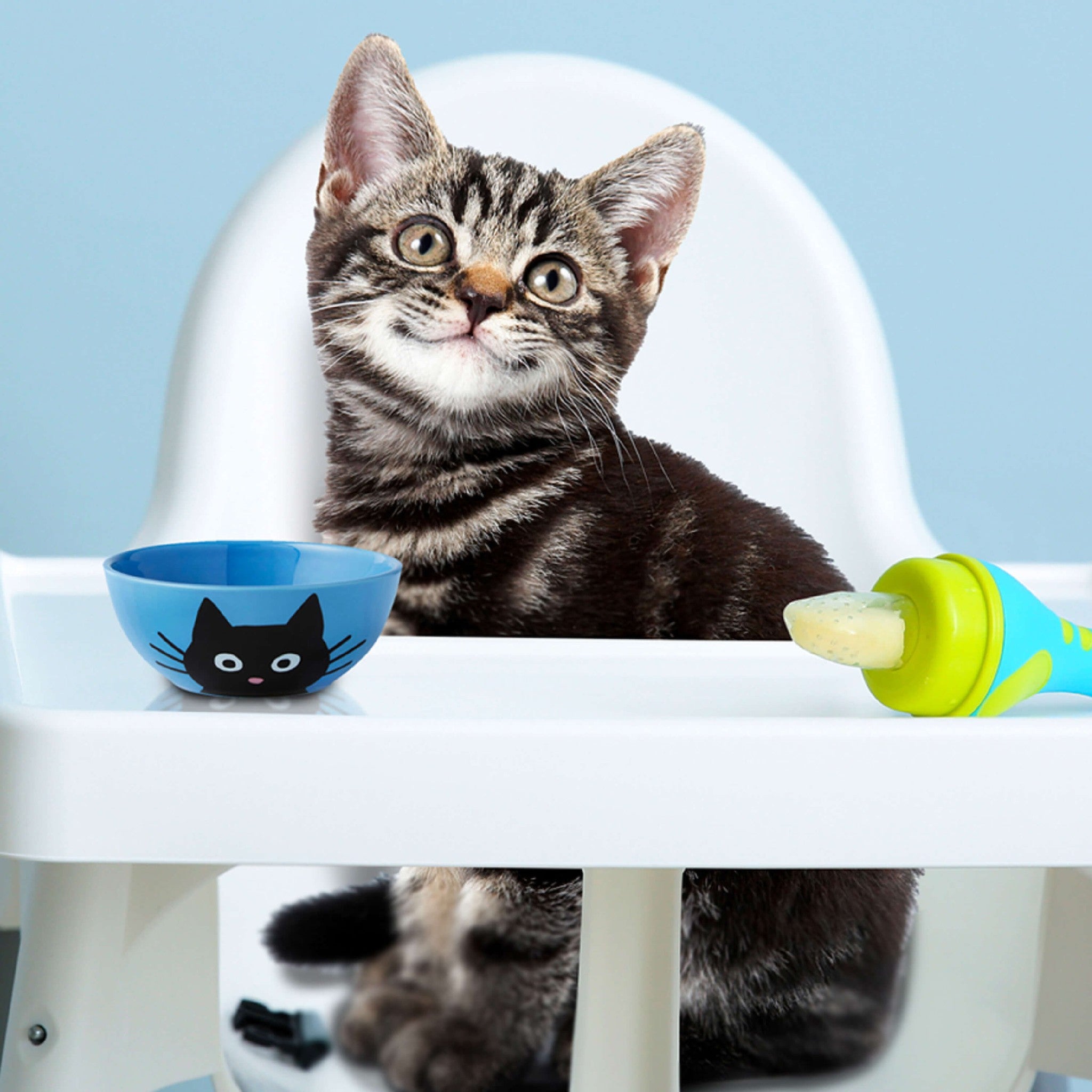 Tabby kitten sitting in a white high chair with a cat-face bowl, ready for mealtime