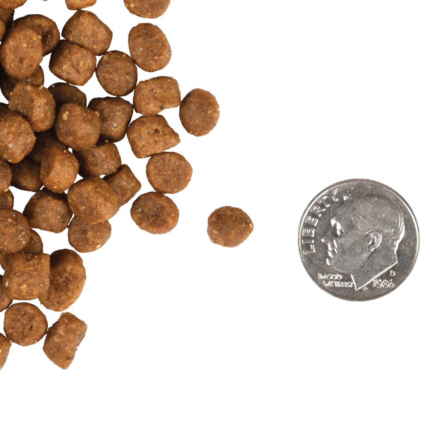 A small pile of Fromm Gold Kitten kibble next to a dime for scale