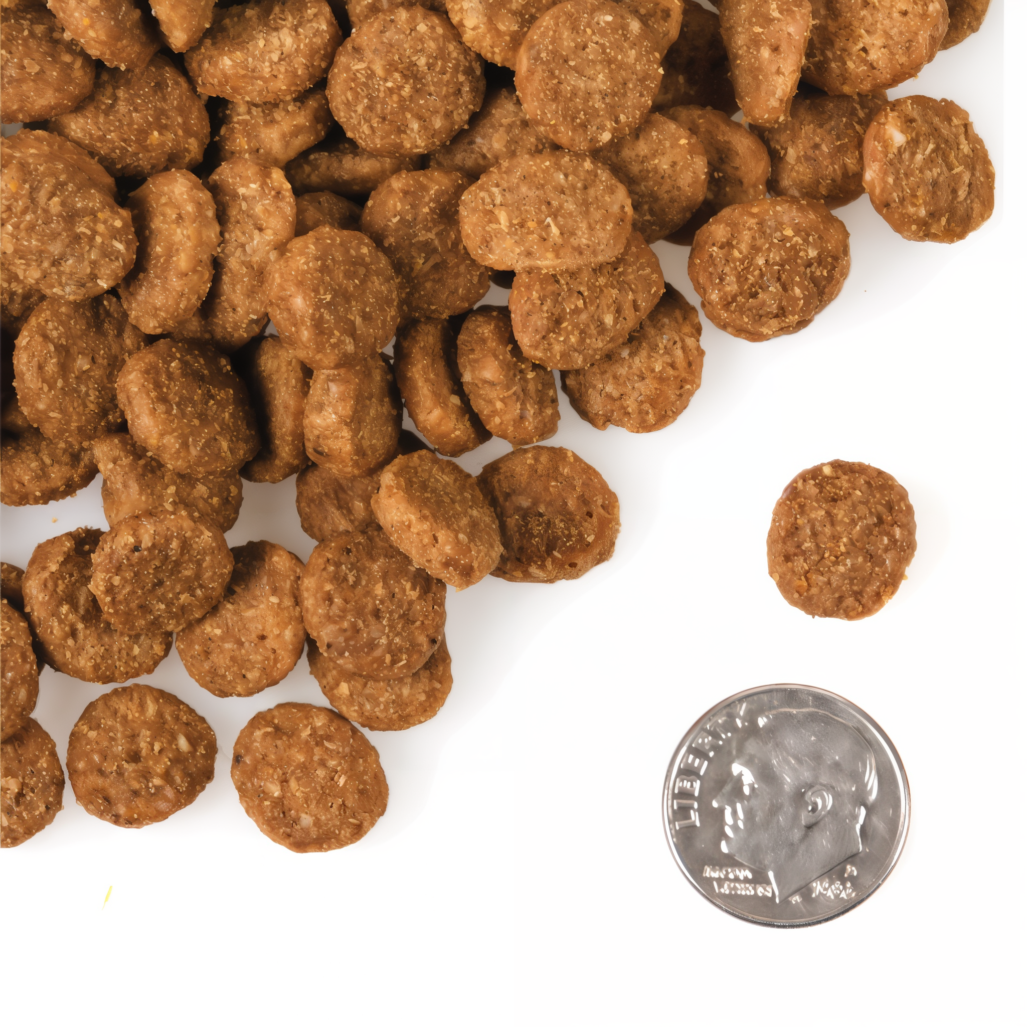A small pile of Fromm Gold Large Breed Weight Management kibble next to a dime for scale