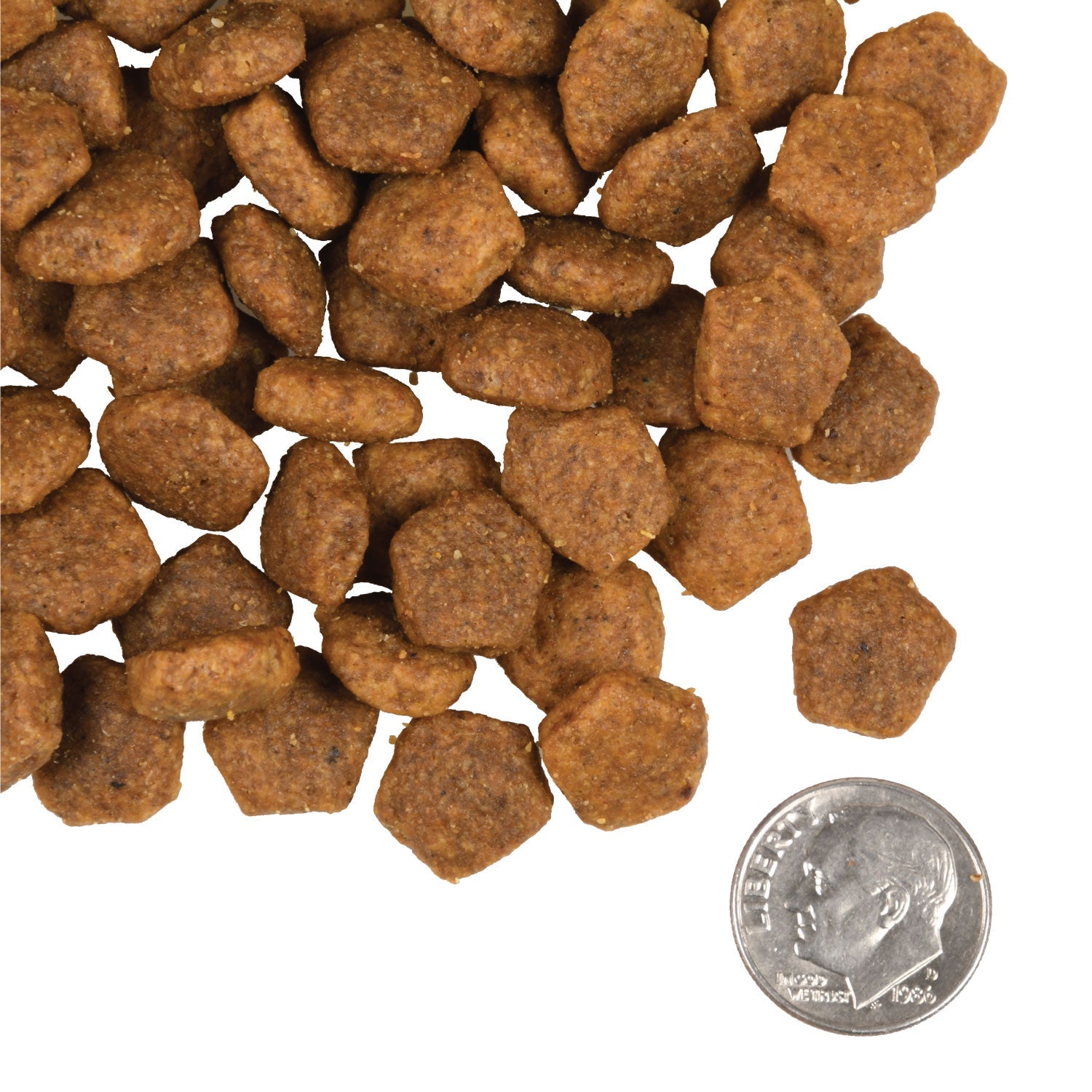A small pile of Fromm Heartland Gold Adult kibble next to a dime for scale