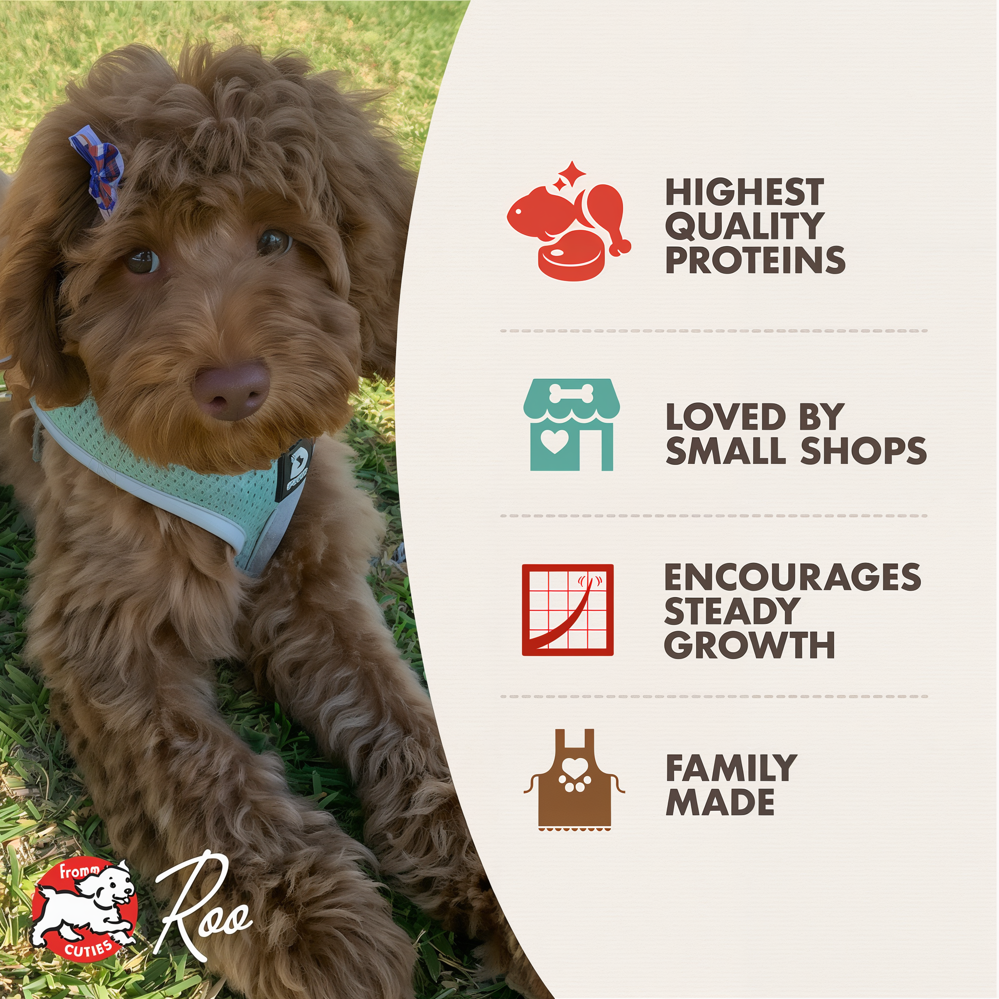 Fromm Heartland Gold Large Breed Puppy benefits: highest quality proteins, loved by small shops, encourages steady growth, family made