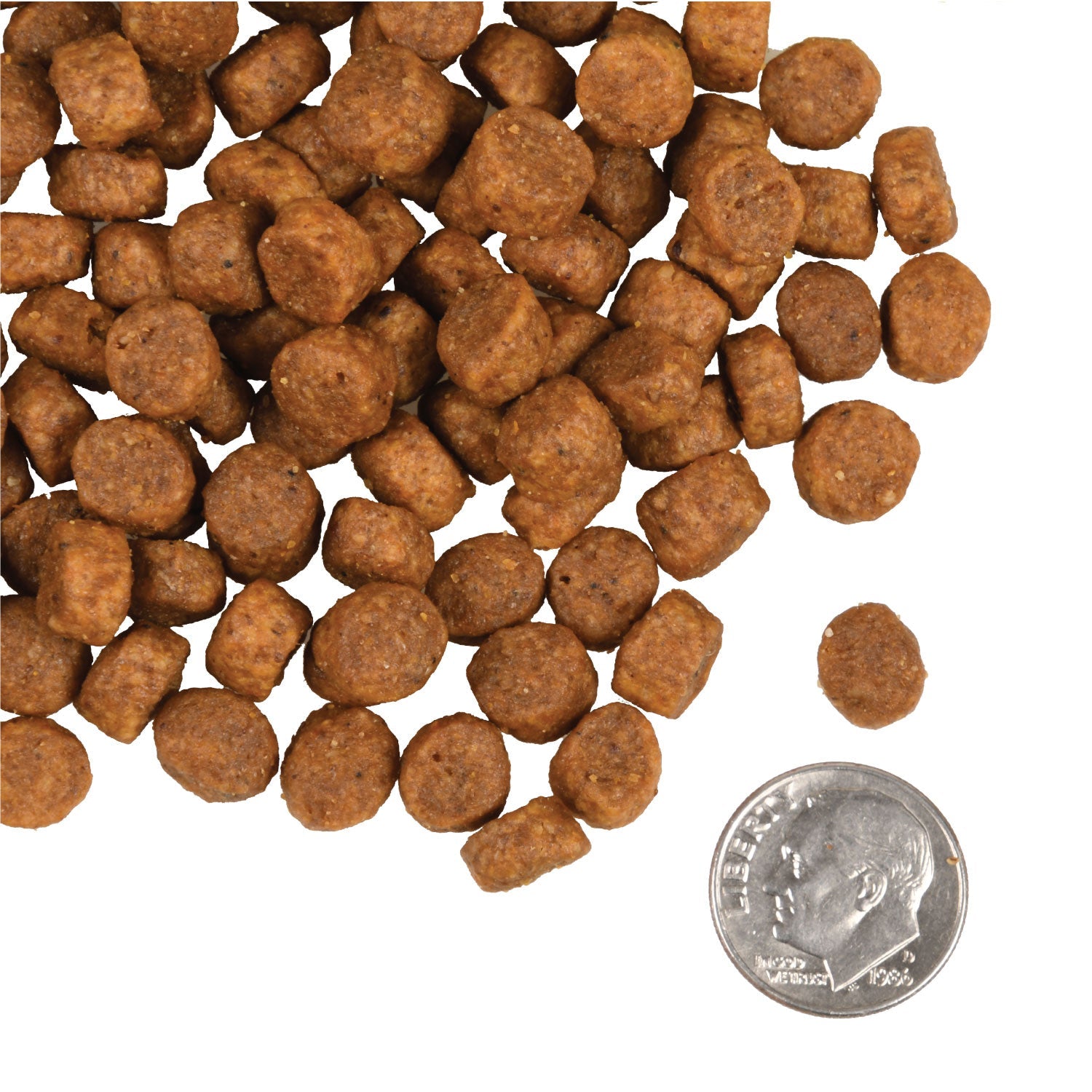 A small pile of Fromm Heartland Gold Puppy kibble next to a dime for scale