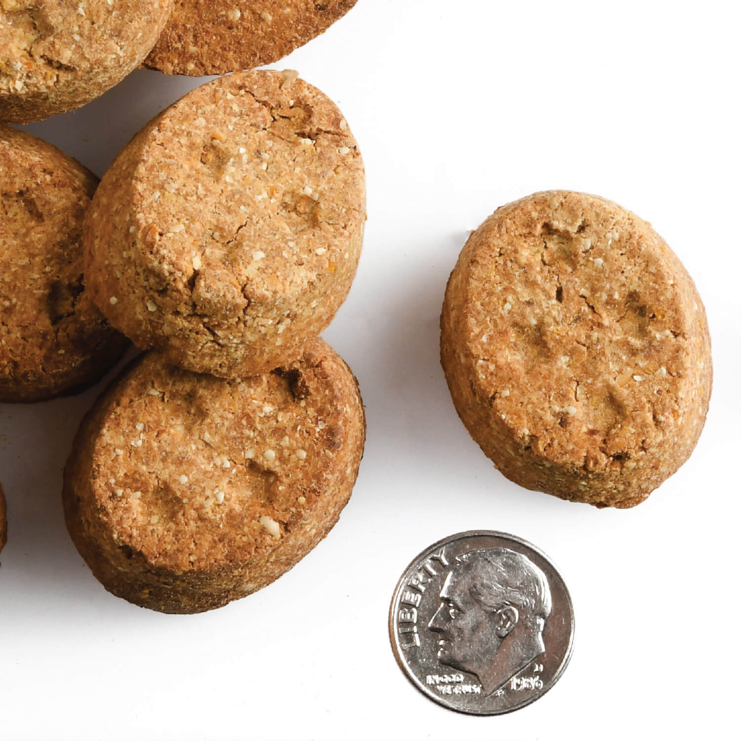Oven-baked Fromm lamb with cranberry dog treat biscuits next to a dime for scale