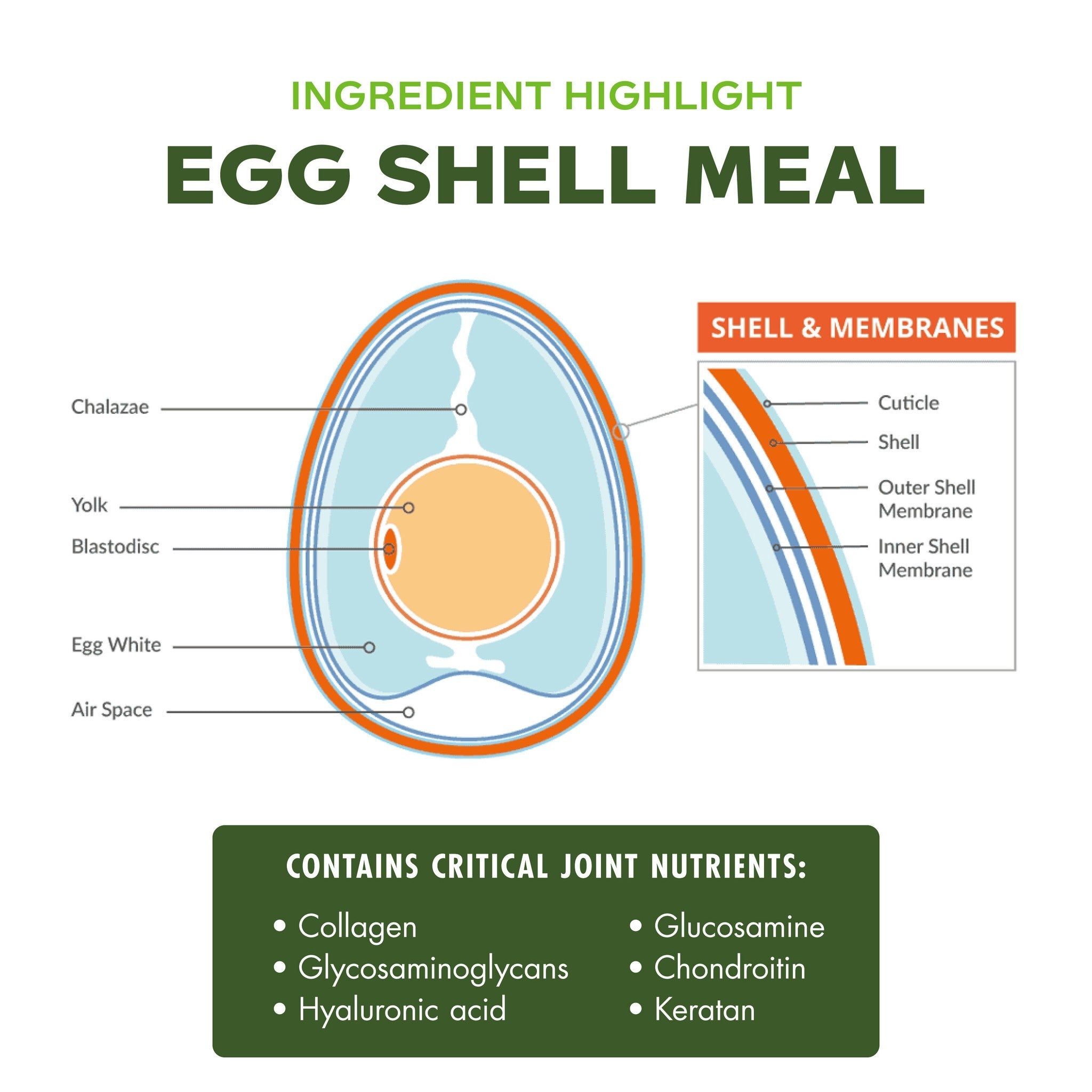 Egg shell meal in Fromm Nutritionals Mobility supplies collagen, glucosamine, chondroitin, and other critical joint nutrients
