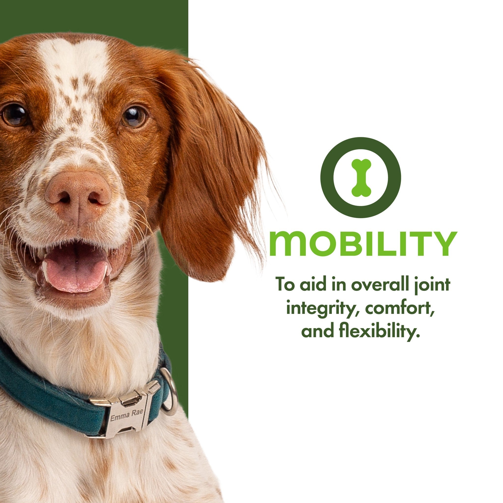 Fromm Nutritionals Mobility aids in overall joint integrity, comfort, and flexibility
