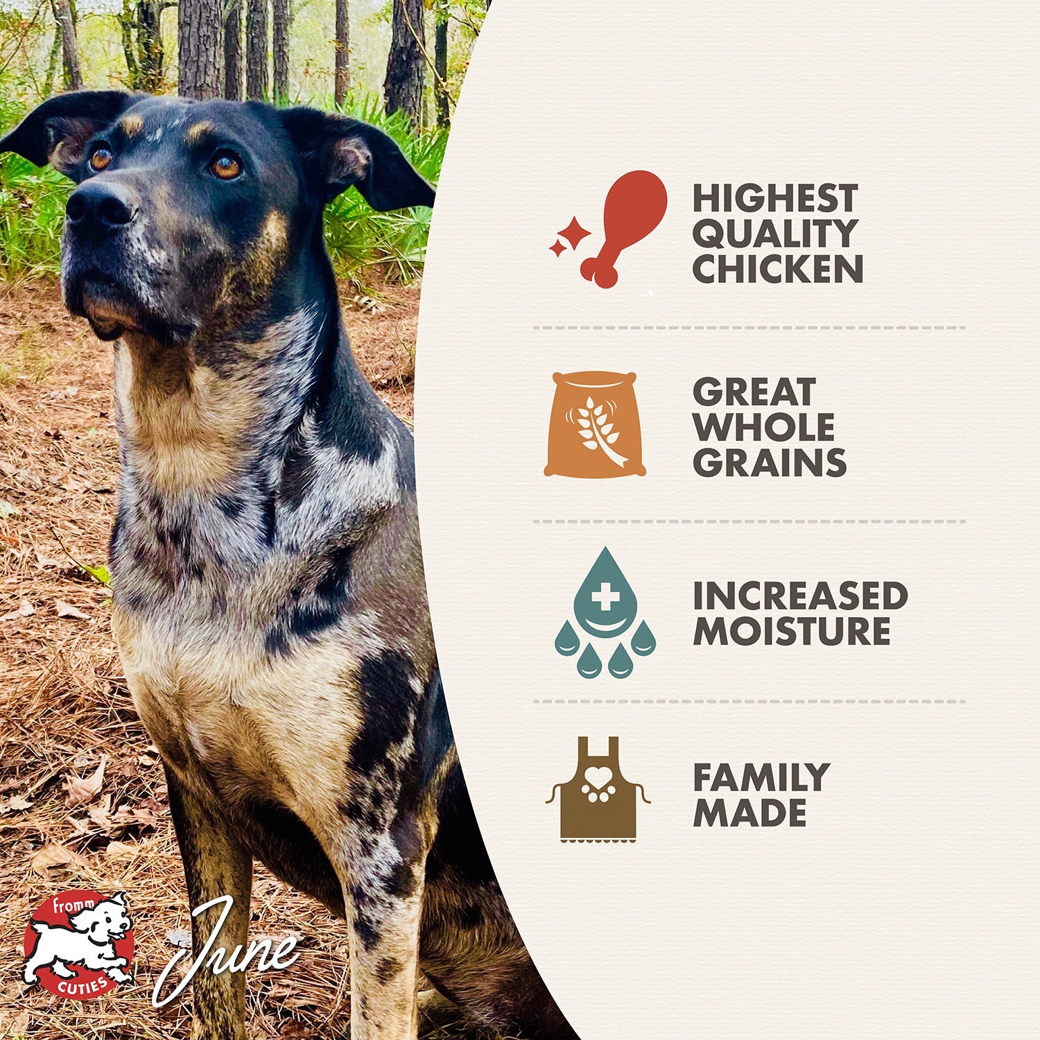 Fromm Cuties dog June with Chicken & Rice Pâté benefits: highest quality chicken, great whole grains, increased moisture, family made