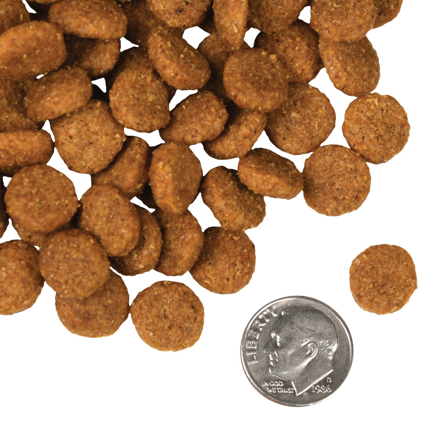 A small pile of round Fromm Pork and Applesauce kibble next to a dime for scale