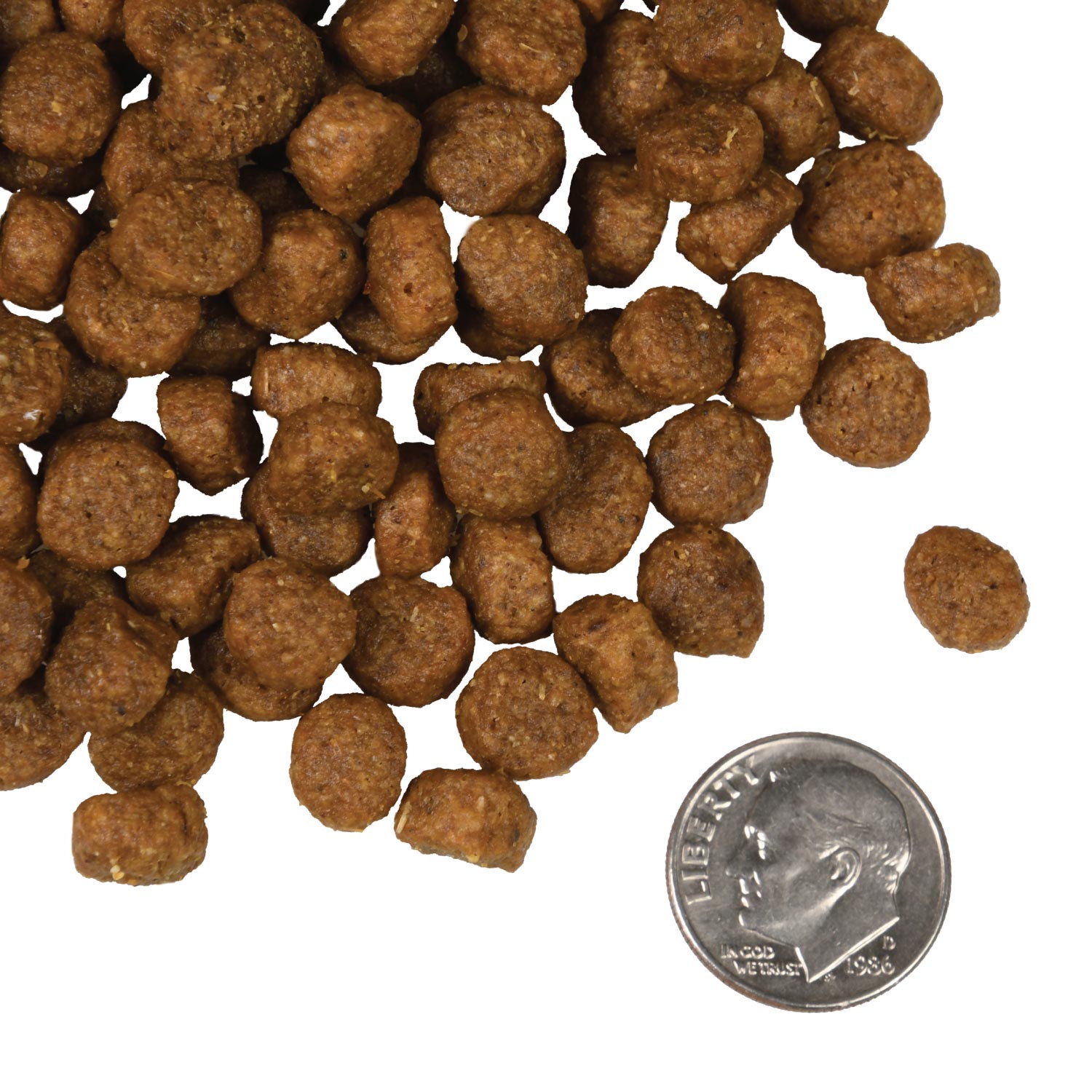 A small pile of Fromm Salmon A La Veg kibble next to a dime for scale