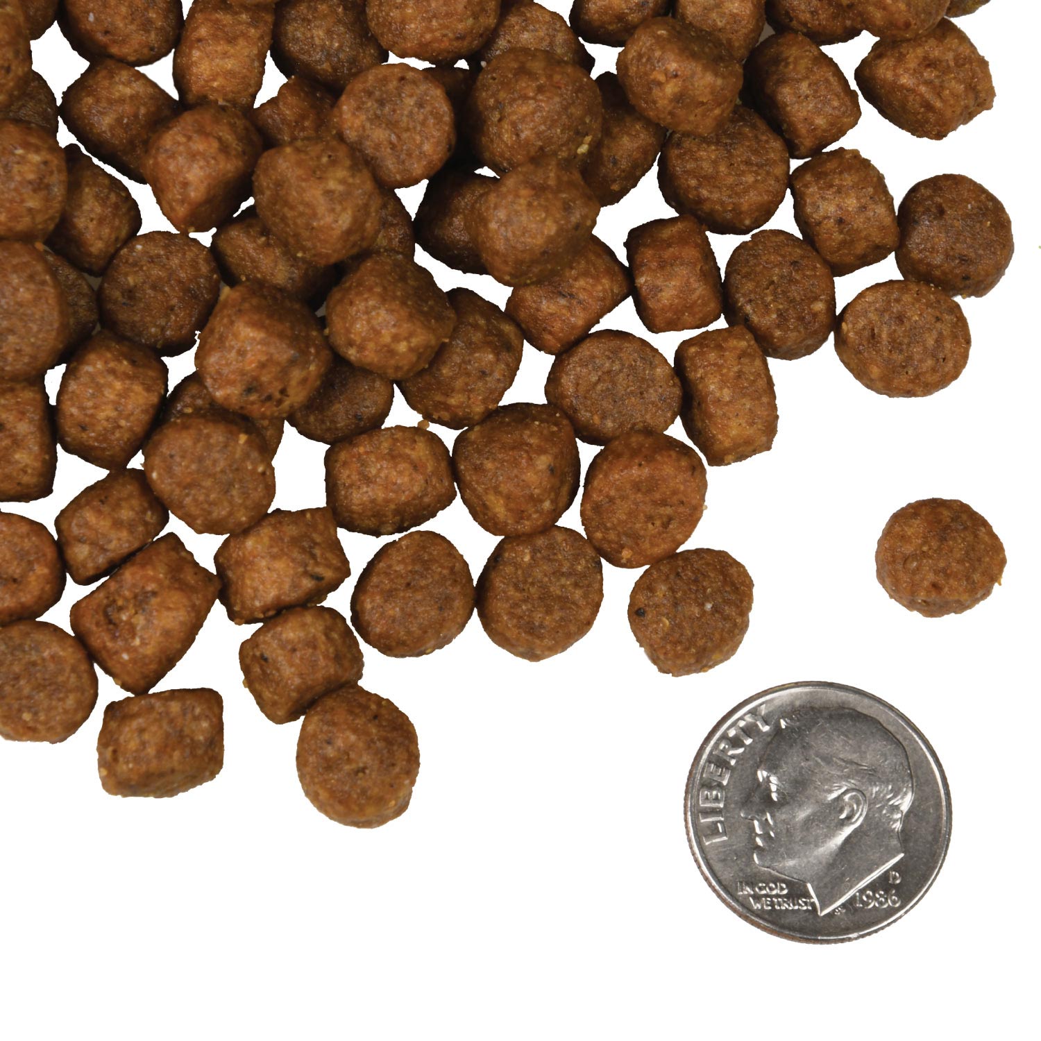 A small pile of Fromm Salmon Tunalini kibble next to a dime for scale