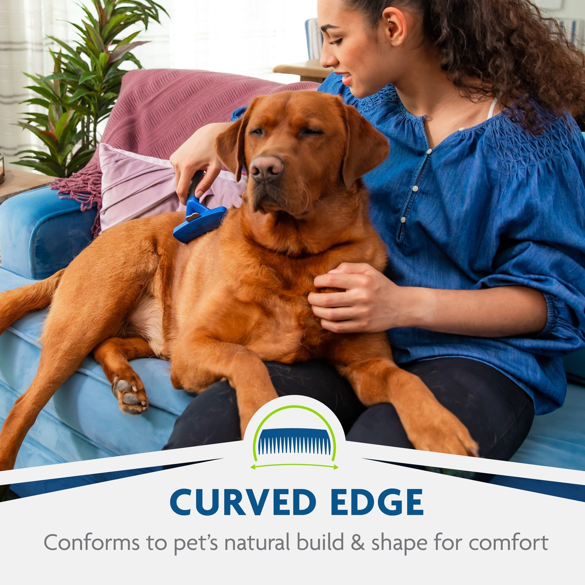Curved SkinGuard edge conforms to your pet for comfort