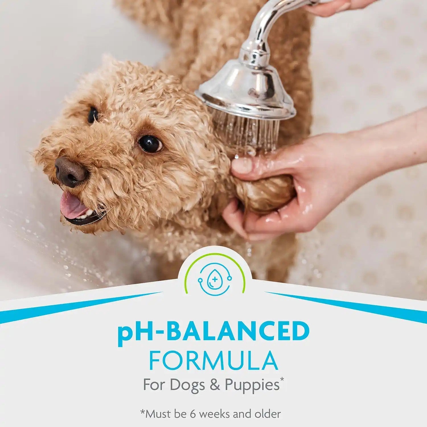 FURminator 2-in-1 Doodle Shampoo & Conditioner pH balanced formula