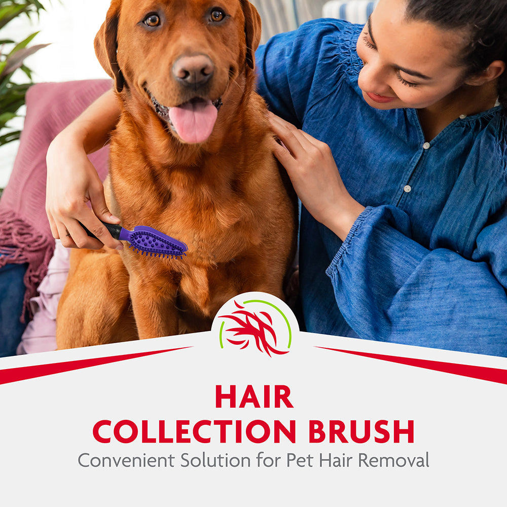 FURminator Hair Collection Brush grooming a dog