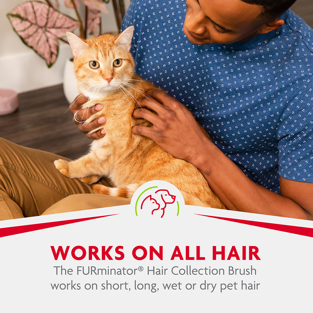 FURminator Hair Collection Brush works on short, long, wet or dry hair