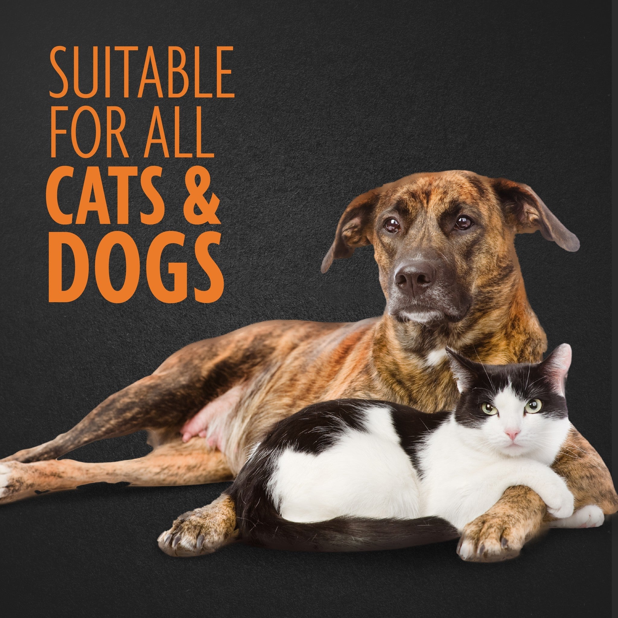 Suitable for all textures of pet hair