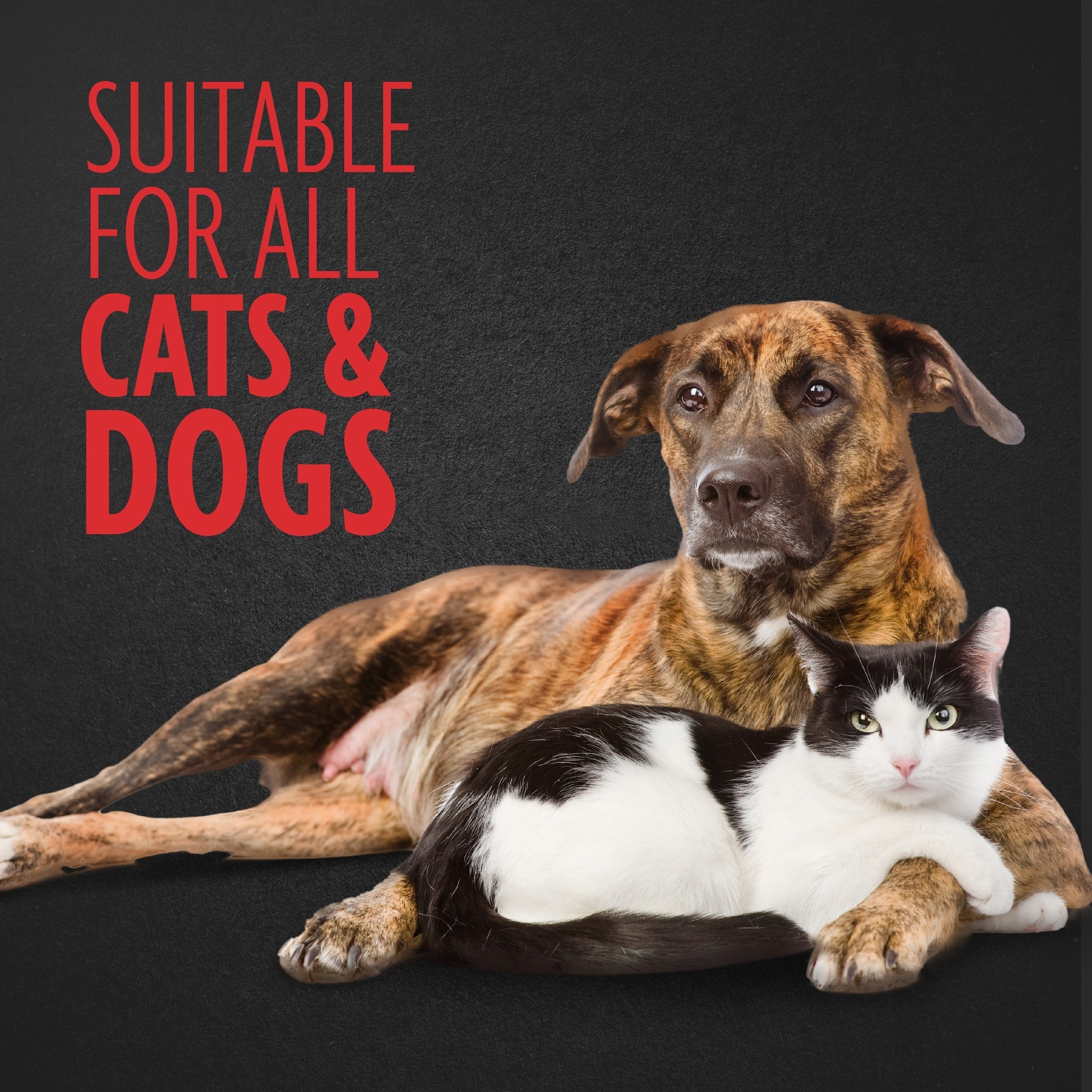 FURminator Nail Grinder bands suitable for all cats and dogs