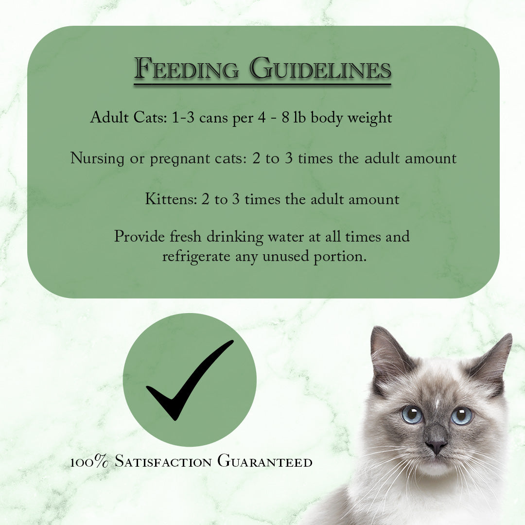 Fussie Cat Fine Dining Paté Oceanfish with Salmon Entrée in Gravy Wet Cat Food — additional product view 4
