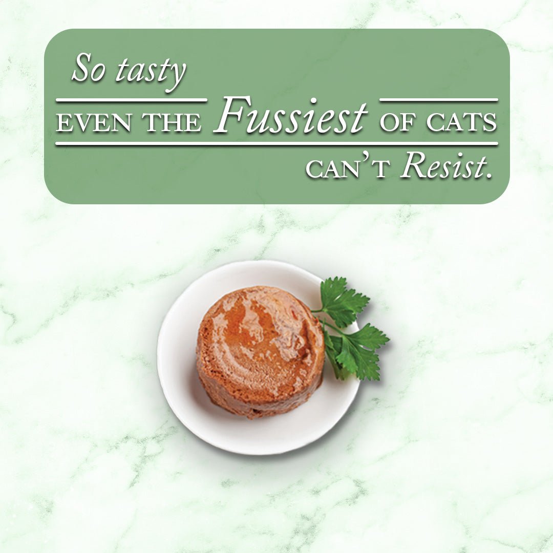 Fussie Cat Fine Dining Paté Oceanfish with Salmon Entrée in Gravy Wet Cat Food — additional product view 5