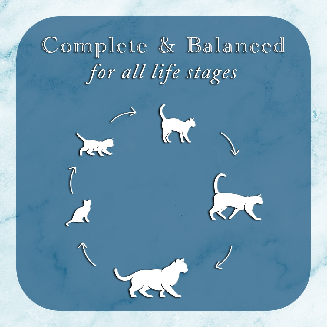 Fussie Cat Fine Dining Paté Tuna with Shrimp Entrée in Gravy Wet Cat Food — additional product view 2