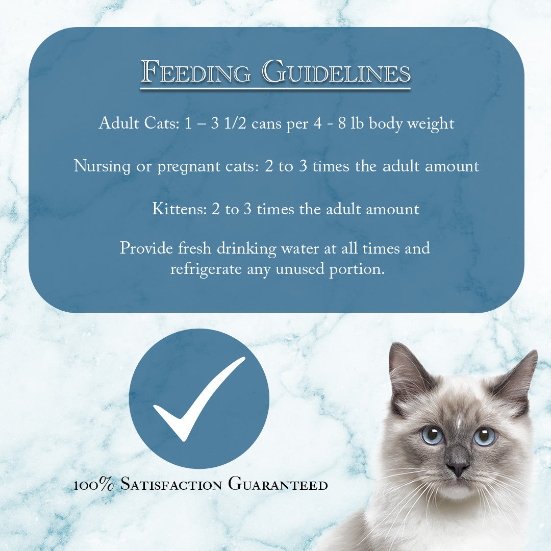 Fussie Cat Fine Dining Paté Tuna with Shrimp Entrée in Gravy Wet Cat Food — additional product view 4