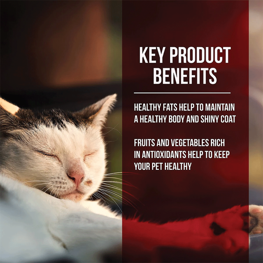 Fussie Cat Market Fresh Chicken and Turkey Meal Recipe Dry Cat Food — additional product view 3