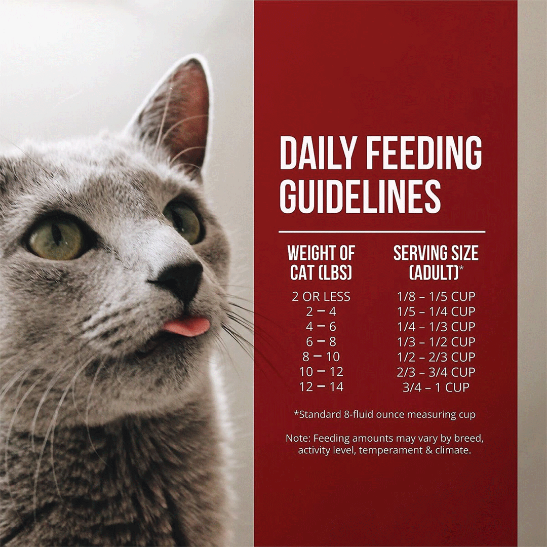 Fussie Cat Market Fresh Chicken and Turkey Meal Recipe Dry Cat Food — additional product view 6