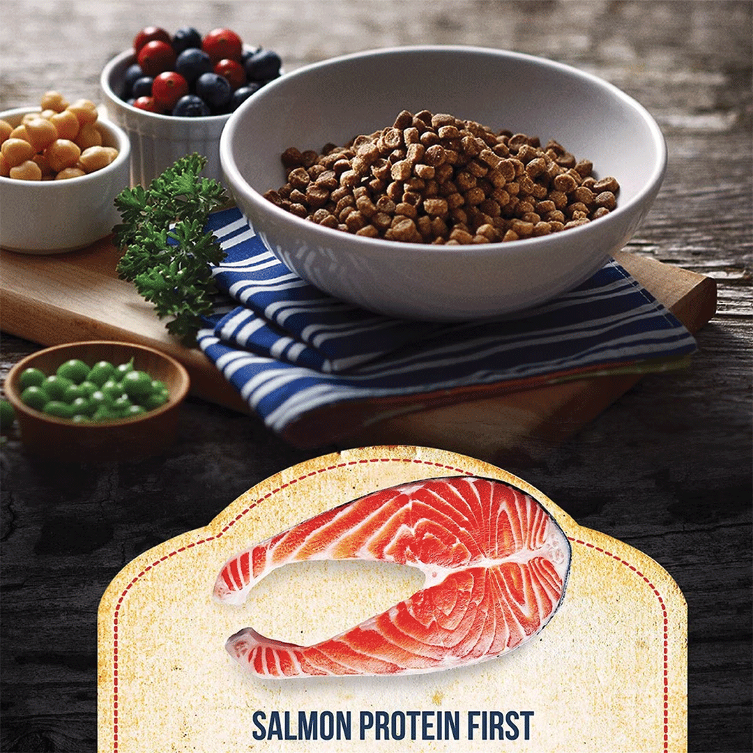 Fussie Cat Market Fresh Salmon & Chicken Recipe Dry Cat Food — additional product view 2