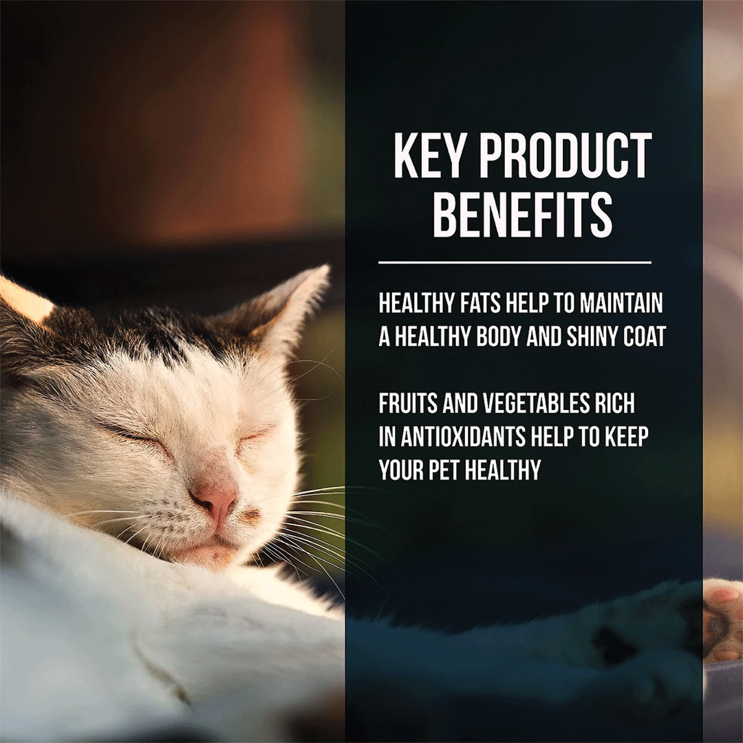 Fussie Cat Market Fresh Salmon Recipe Dry Cat Food — additional product view 2