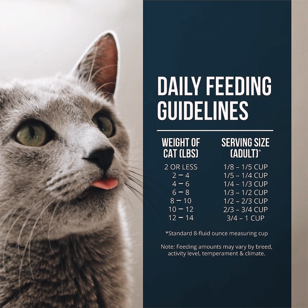 Fussie Cat Market Fresh Salmon Recipe Dry Cat Food — additional product view 5