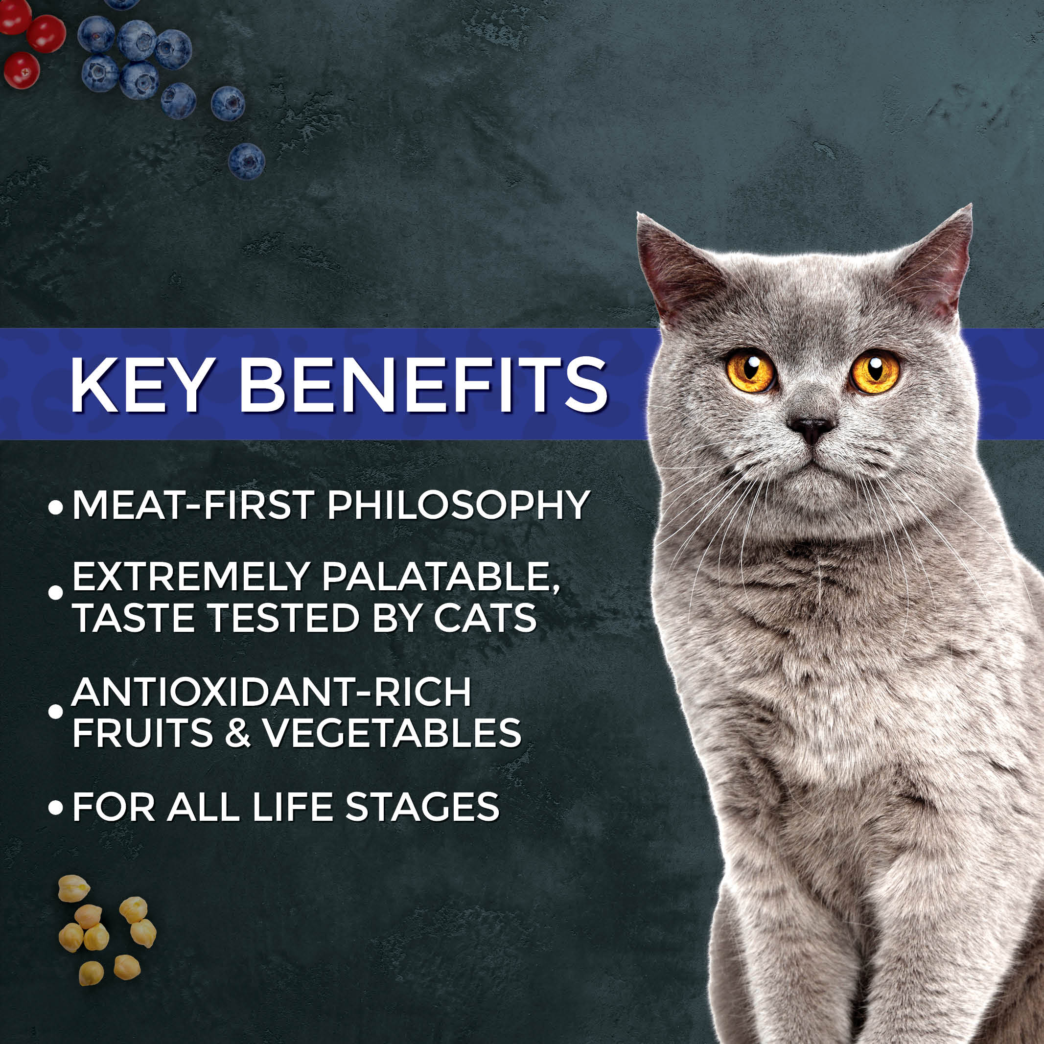 Fussie Cat Market Fresh Tuna Recipe Dry Cat Food — additional product view 4