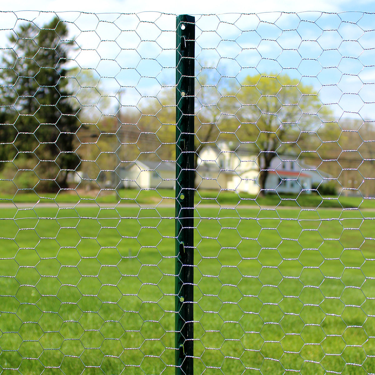 Garden Craft chicken wire installed on green steel posts as a yard fence