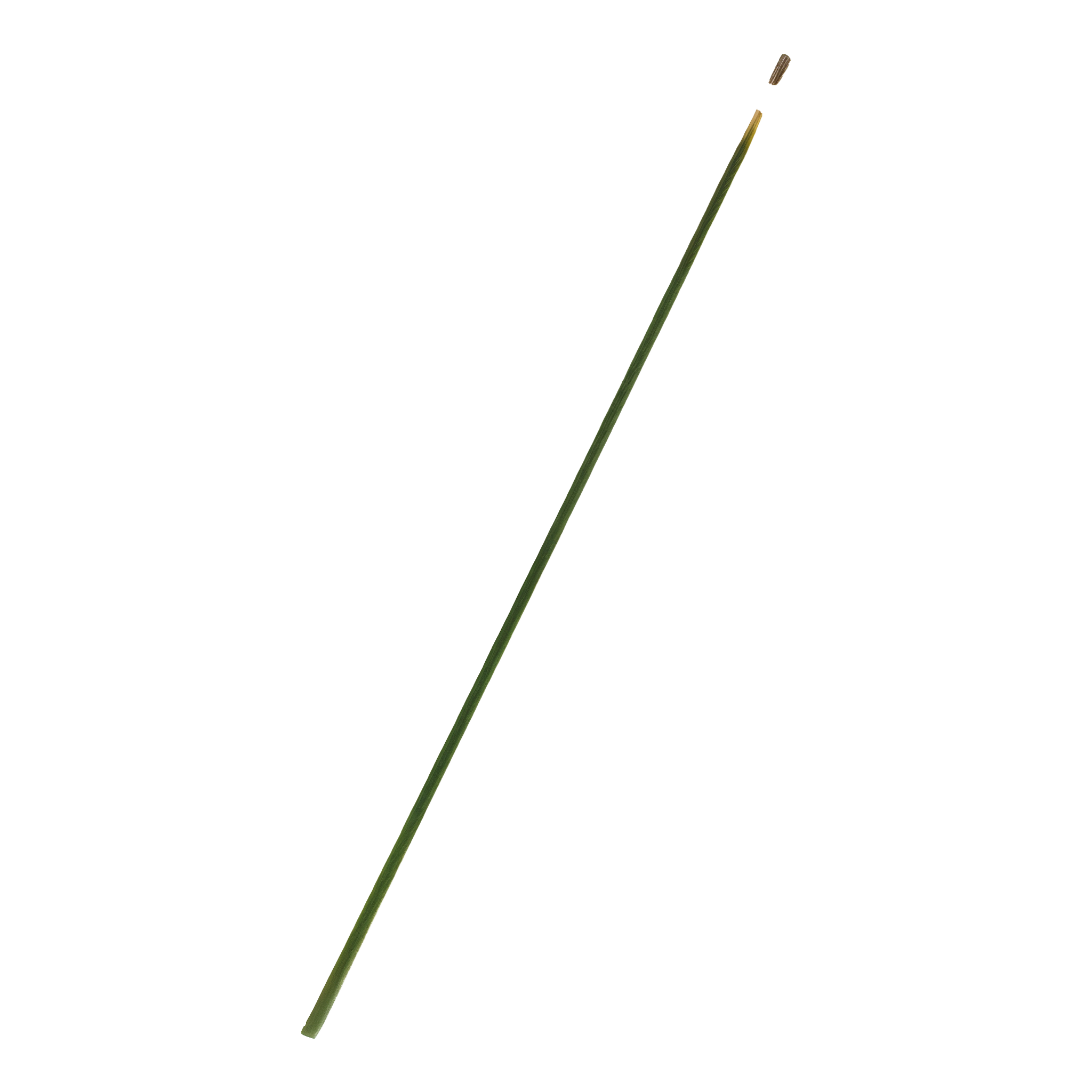 Gardener's Blue Ribbon Green Steel Plant Stake, 4 ft, pack of 20. #4 ft#Pack of 20