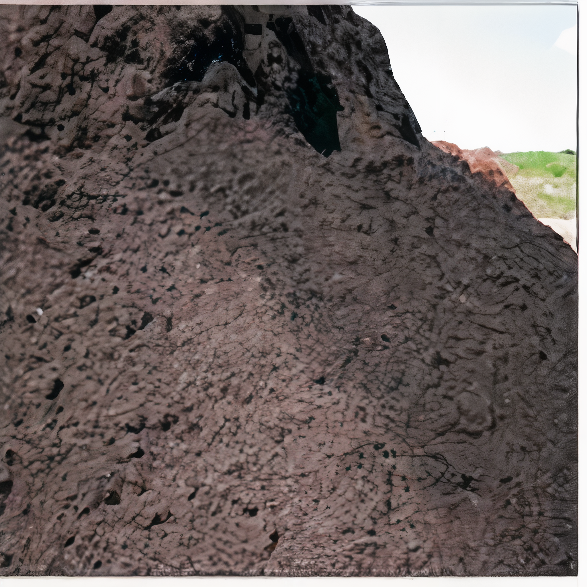 Compost for your yard, enriching soil for healthy plant growth. #Yard