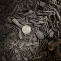 Wood Chips