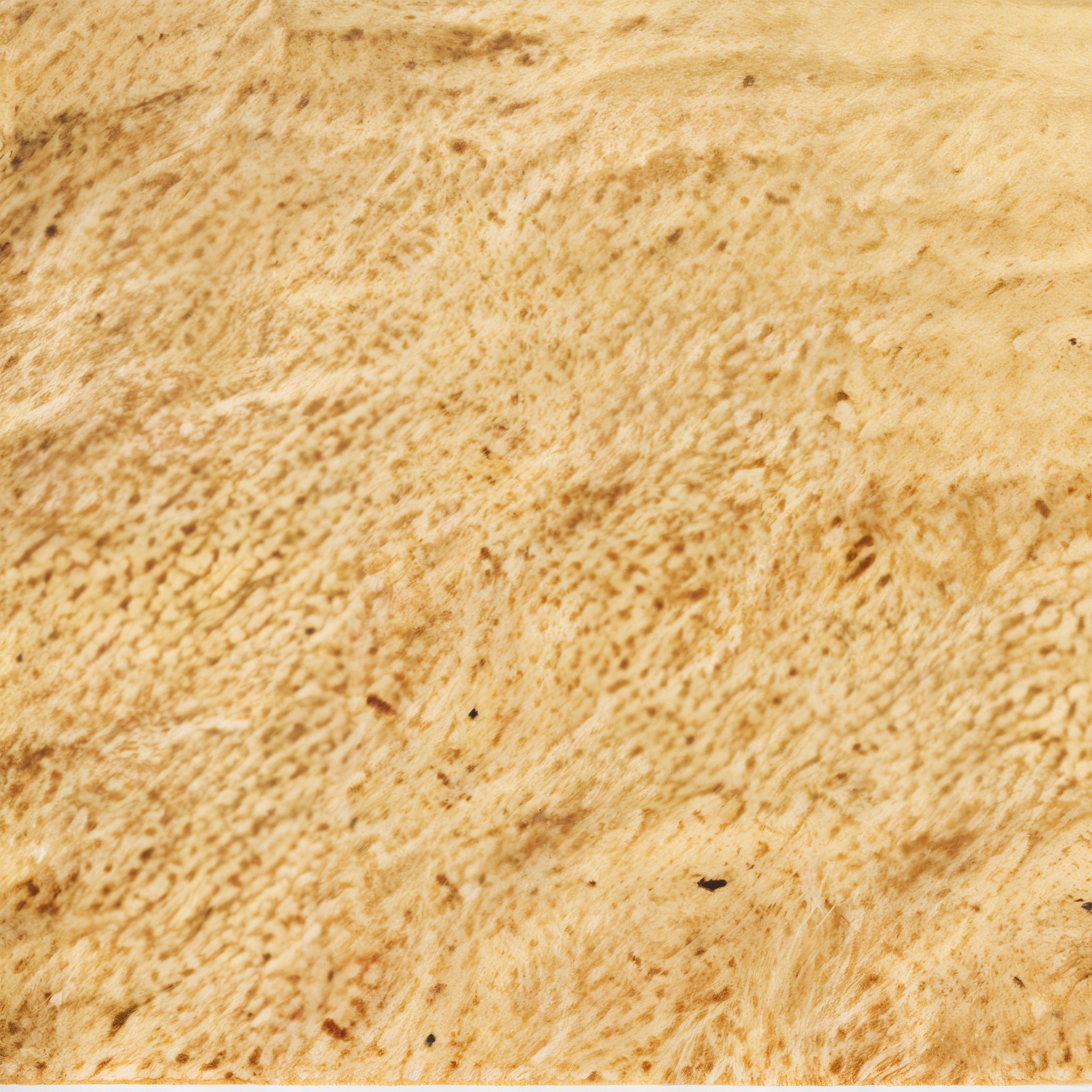 Yellow bar sand, bulk aggregate sold by the ton. #Yellow Bar#Ton