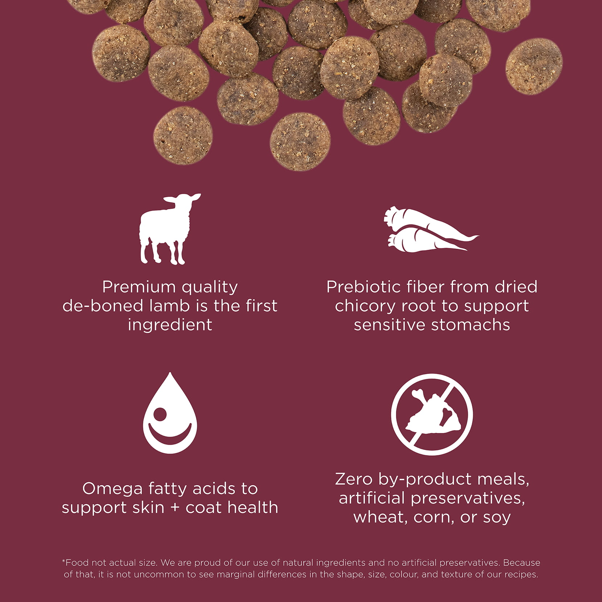 Go! Solutions Sensitivities Limited Ingredient Grain-Free Lamb Recipe key benefits