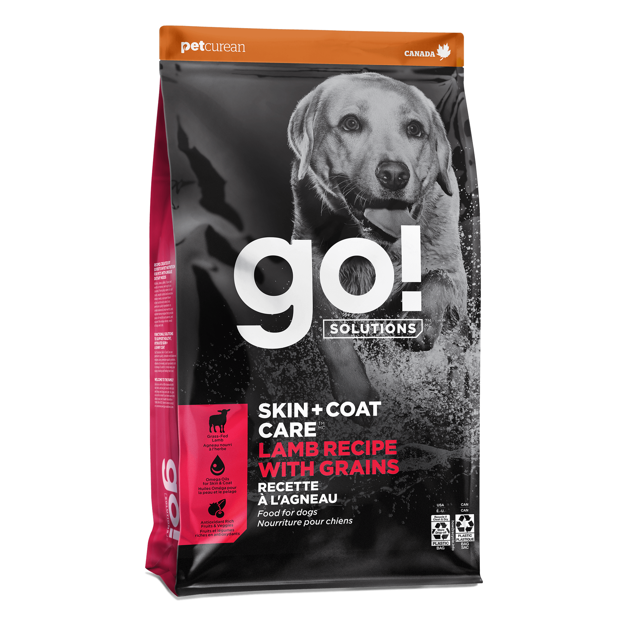 Go! Solutions Skin + Coat Care Lamb Recipe with Grains Dry Dog Food bag