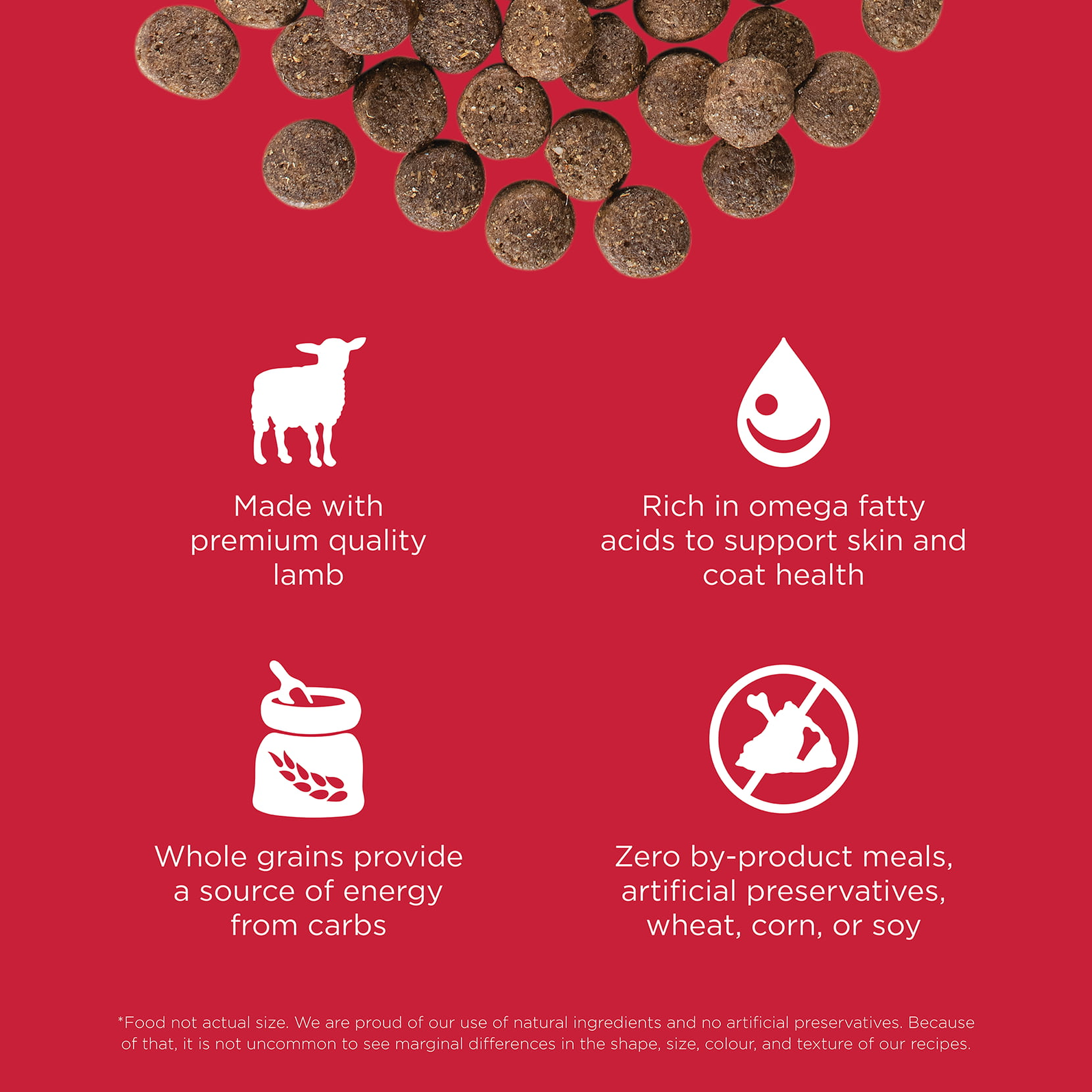 Go! Solutions Skin + Coat Care Lamb Recipe with Grains key benefits