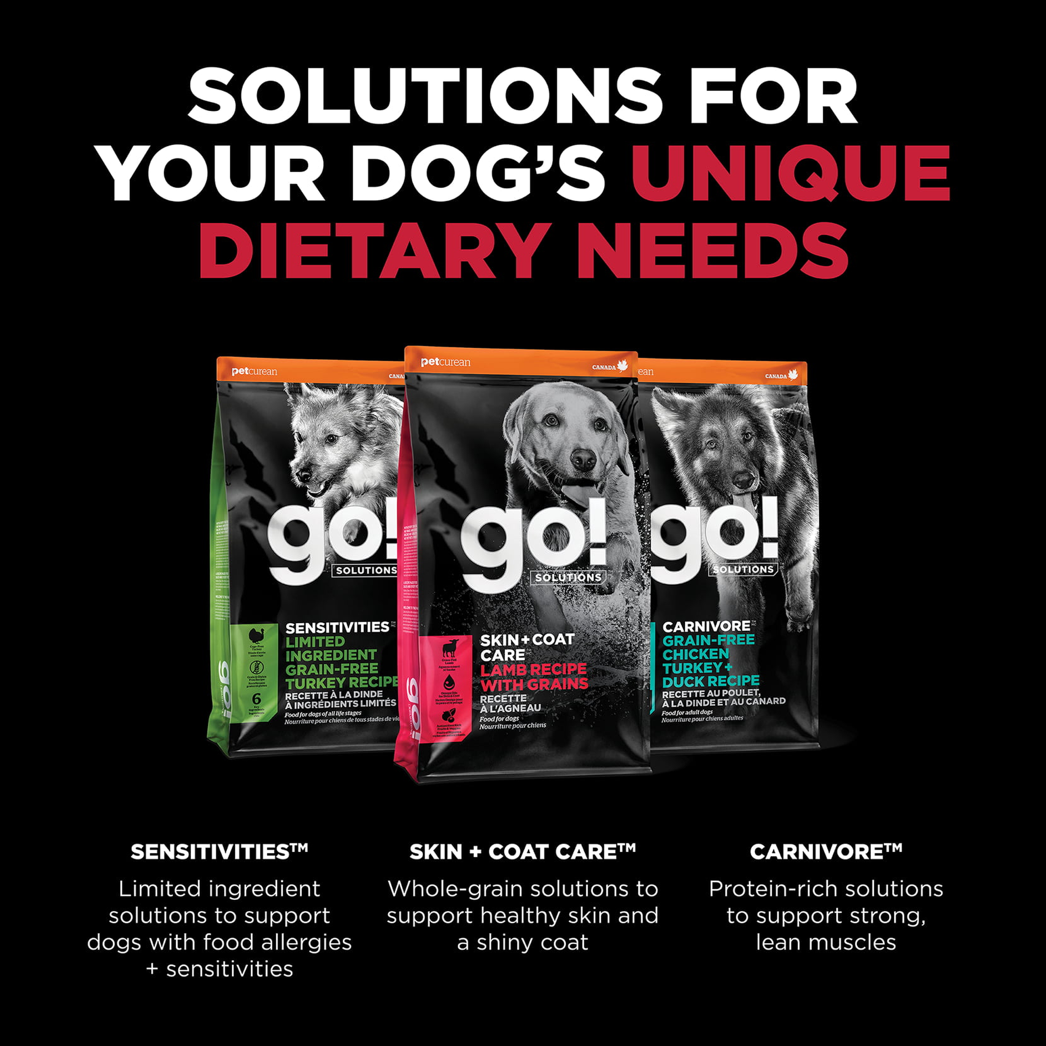 Go! Solutions Skin + Coat Care Lamb Recipe with Grains solutions overview