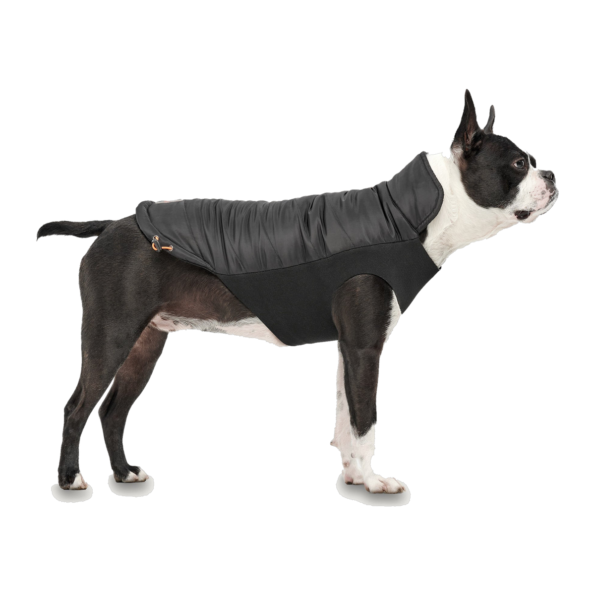 Goo-eez Mock Neck Signature Wrap Jacket in black on a dog, side view #XL#Black