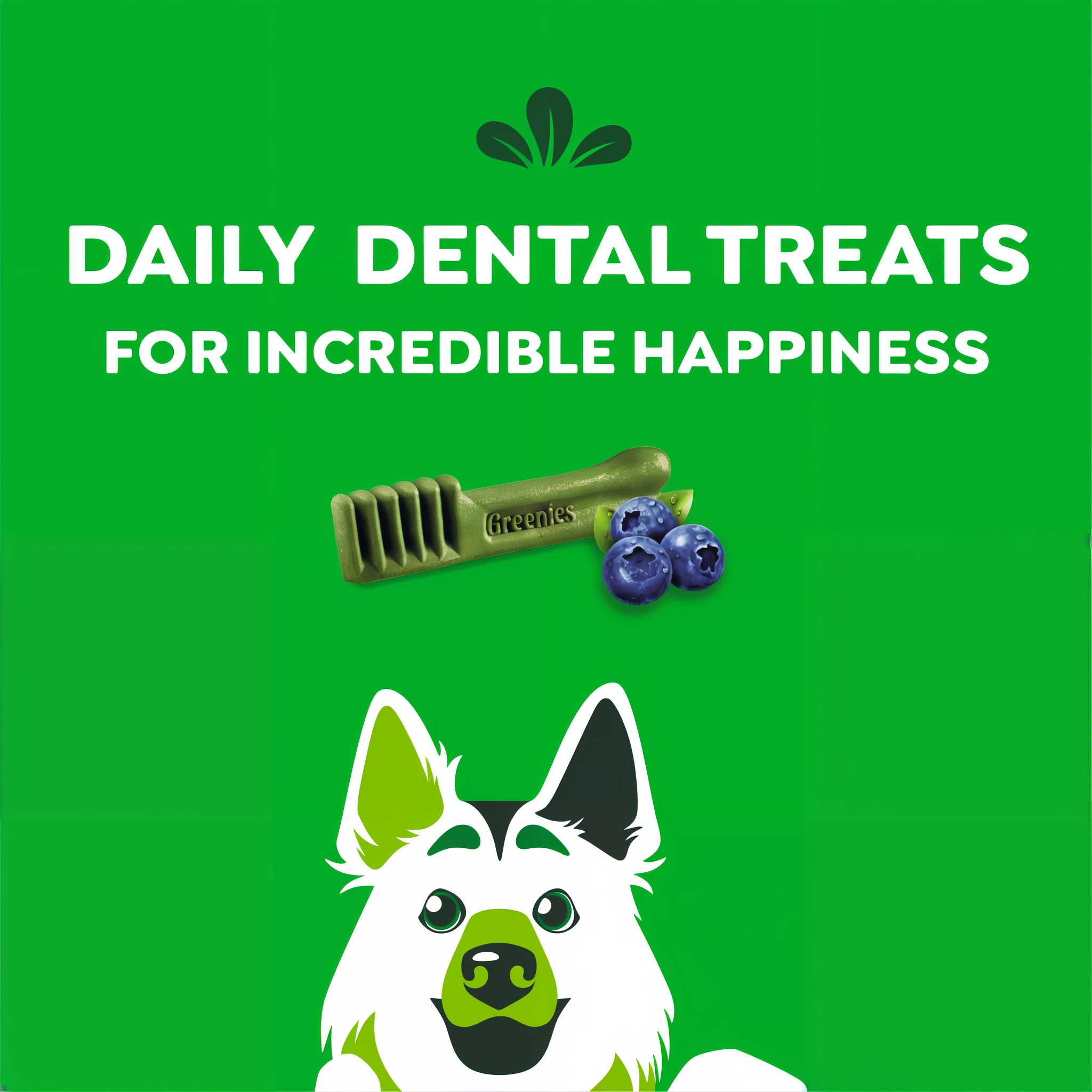 Greenies Blueberry daily dental treats artwork with blueberries and dental chew