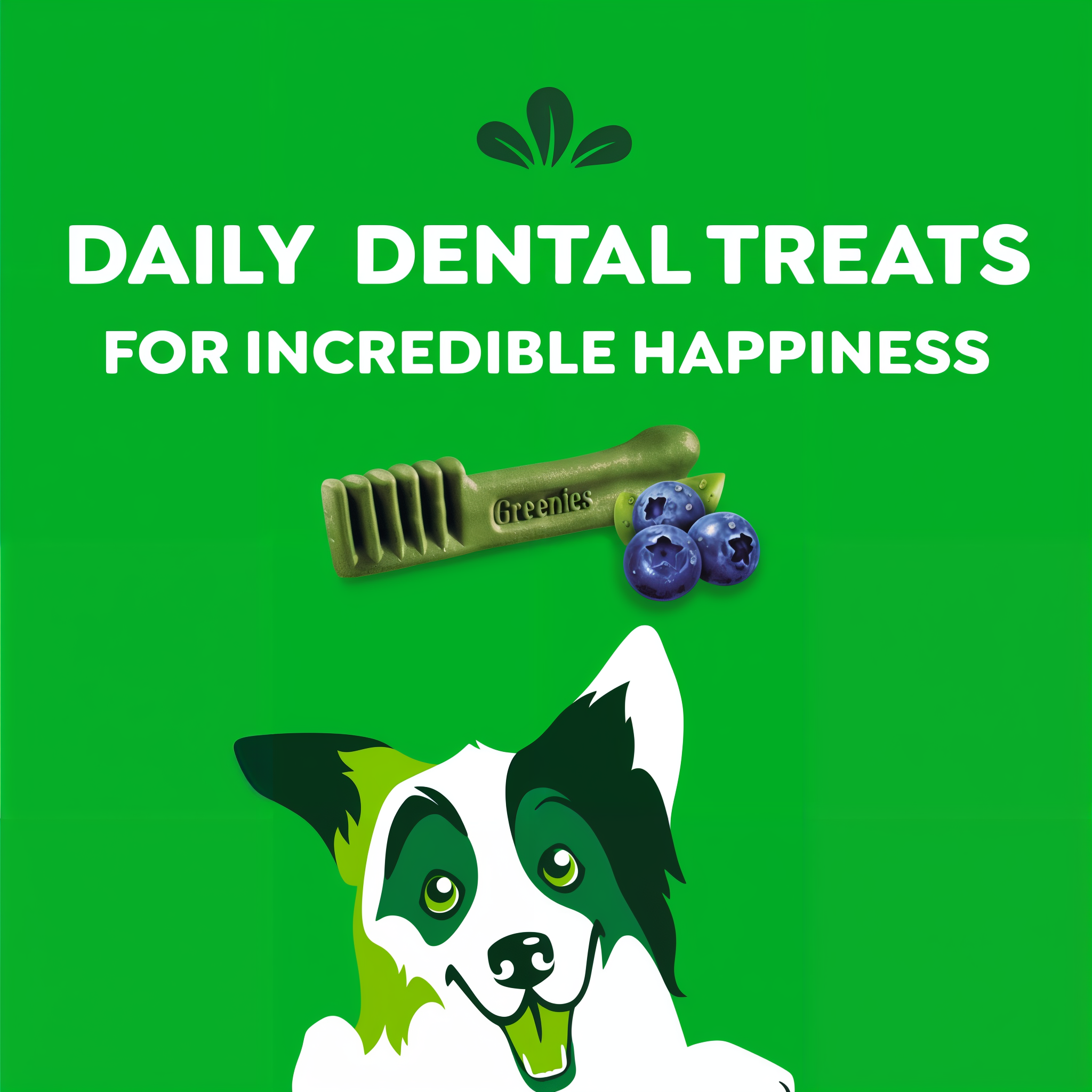 Greenies Blueberry daily dental treats with blueberries and dental chew