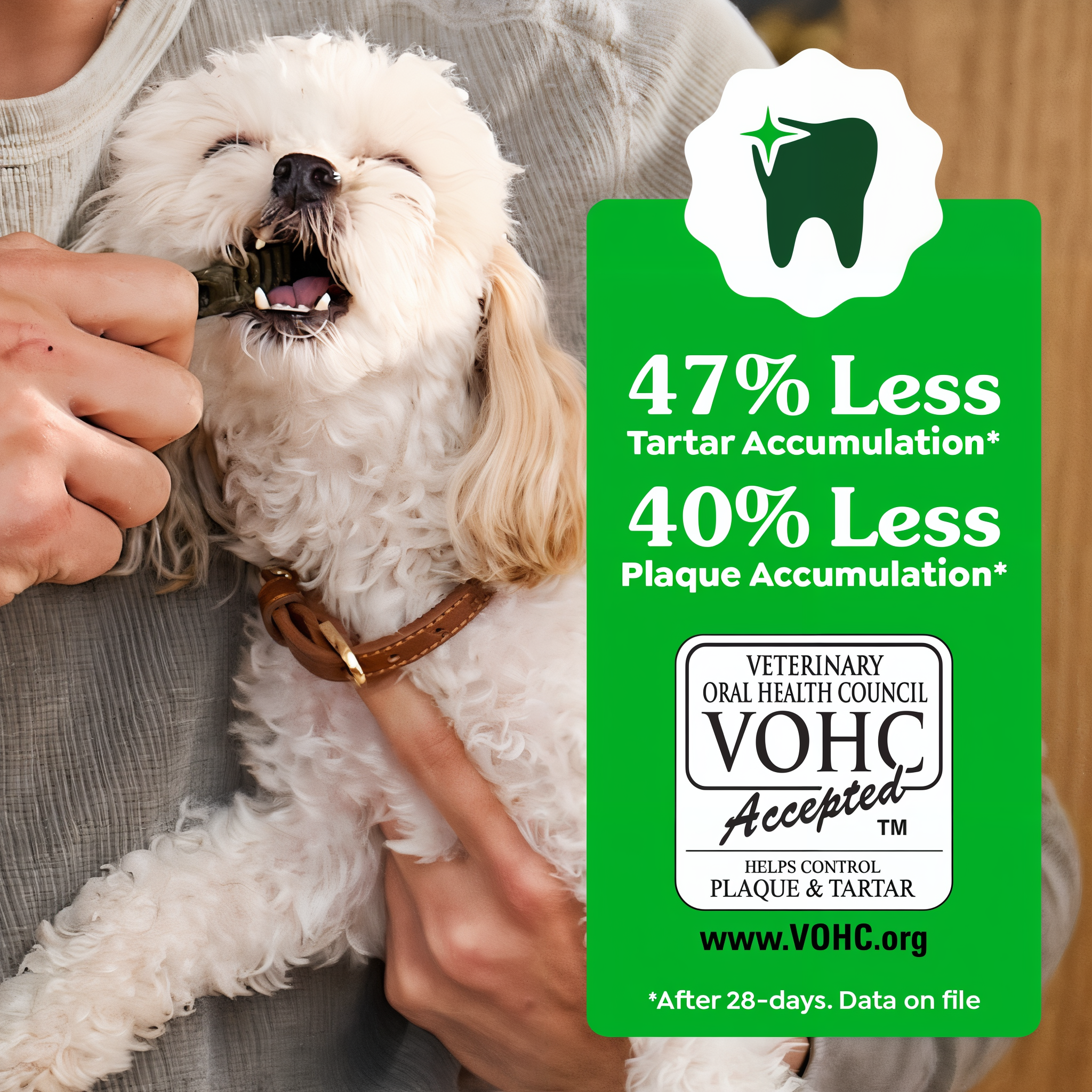 Dog enjoying a Greenies dental chew, VOHC accepted with 47 percent less tartar and 40 percent less plaque accumulation