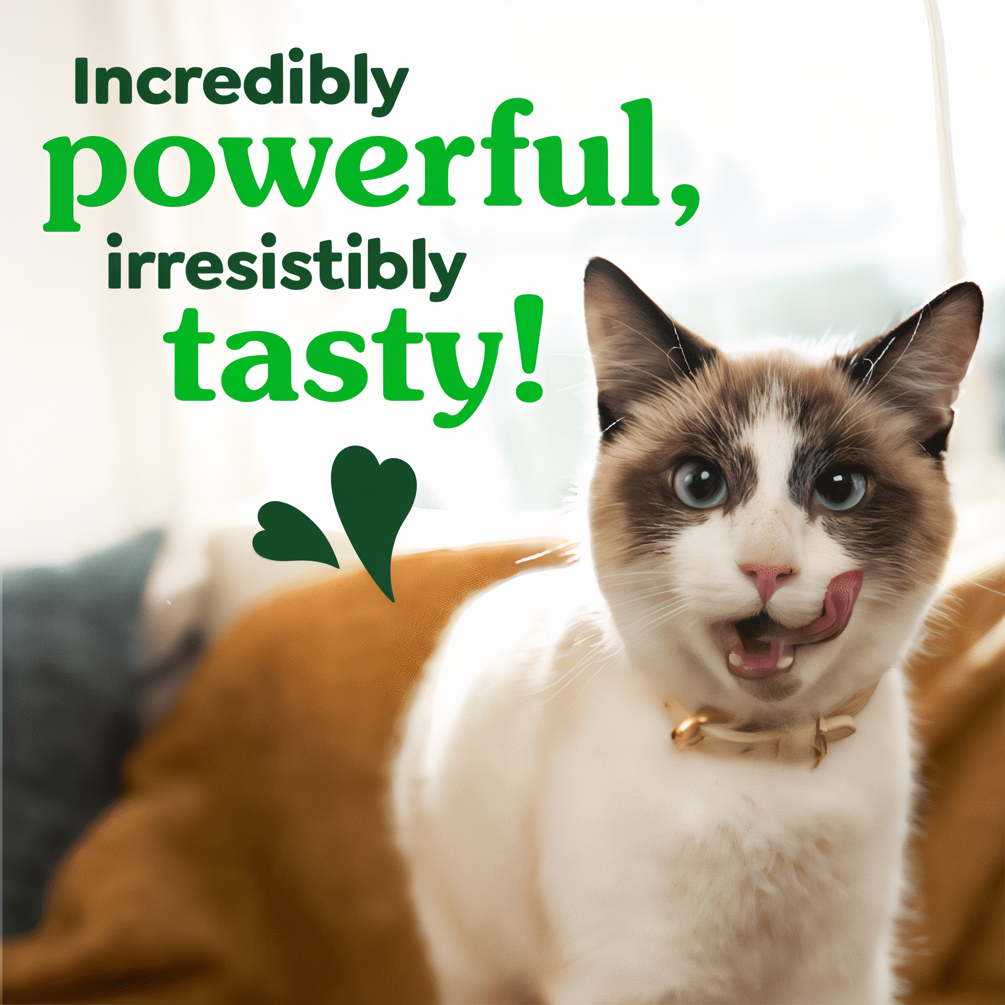 Greenies Feline Dental Oven Roasted Chicken Flavor Cat Treats incredibly powerful irresistibly tasty