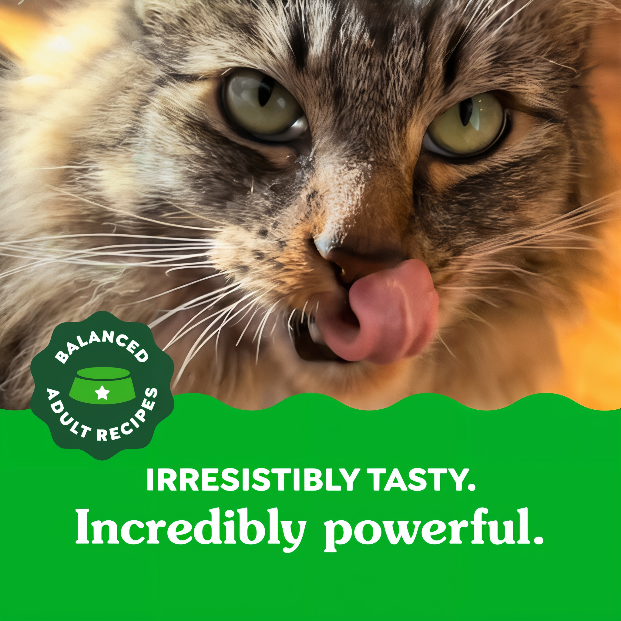 Greenies Feline Dental Savory Salmon Flavor Cat Treats in use